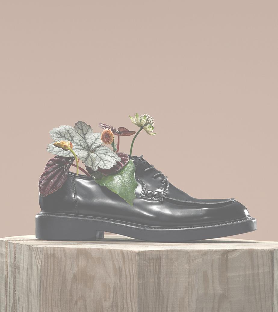 Shoe Bring Back | Vagabond